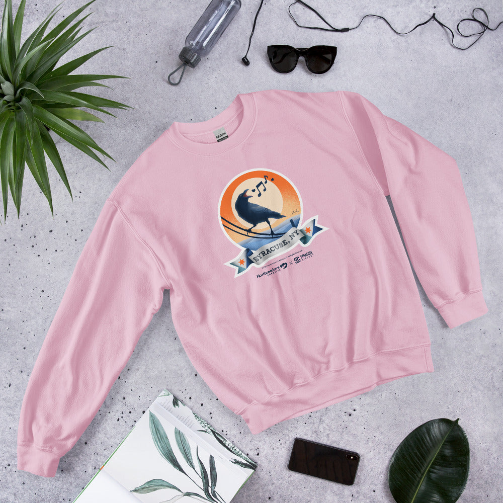 A light pink sweatshirt featuring an illustration of a crow on a telephone wire and a banner beneath it that says Syracuse, NY